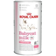 Babycat milk Royal Canin